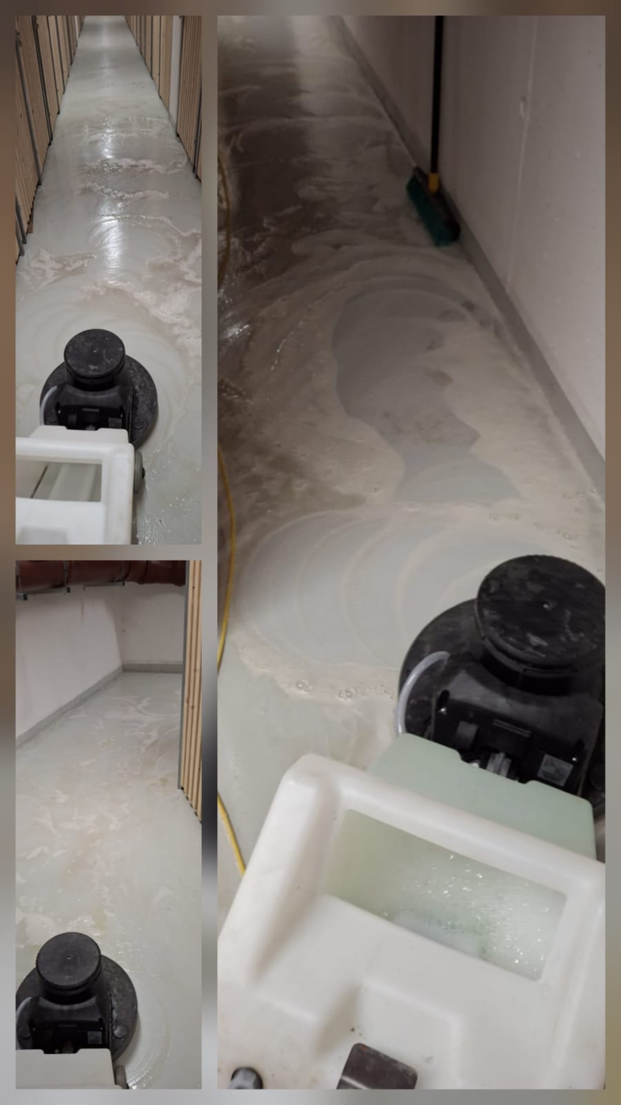 Kellerreinigung Wien – maschinelle Bodenreinigung – ReinVision e.U.